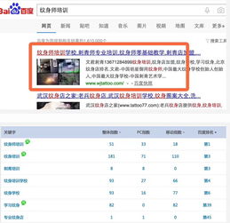 成都网站优化推广公司分享 富海360的专业技术是一切营销的基石本质